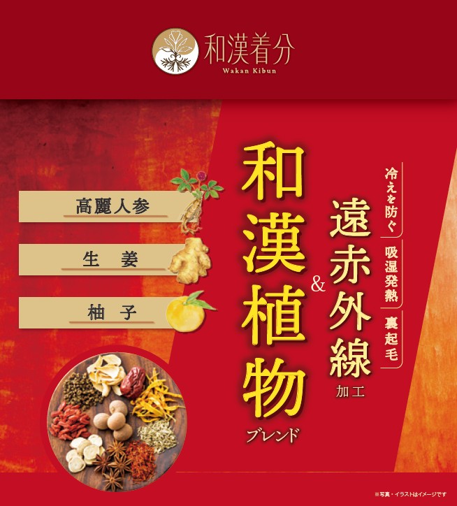 和漢気分