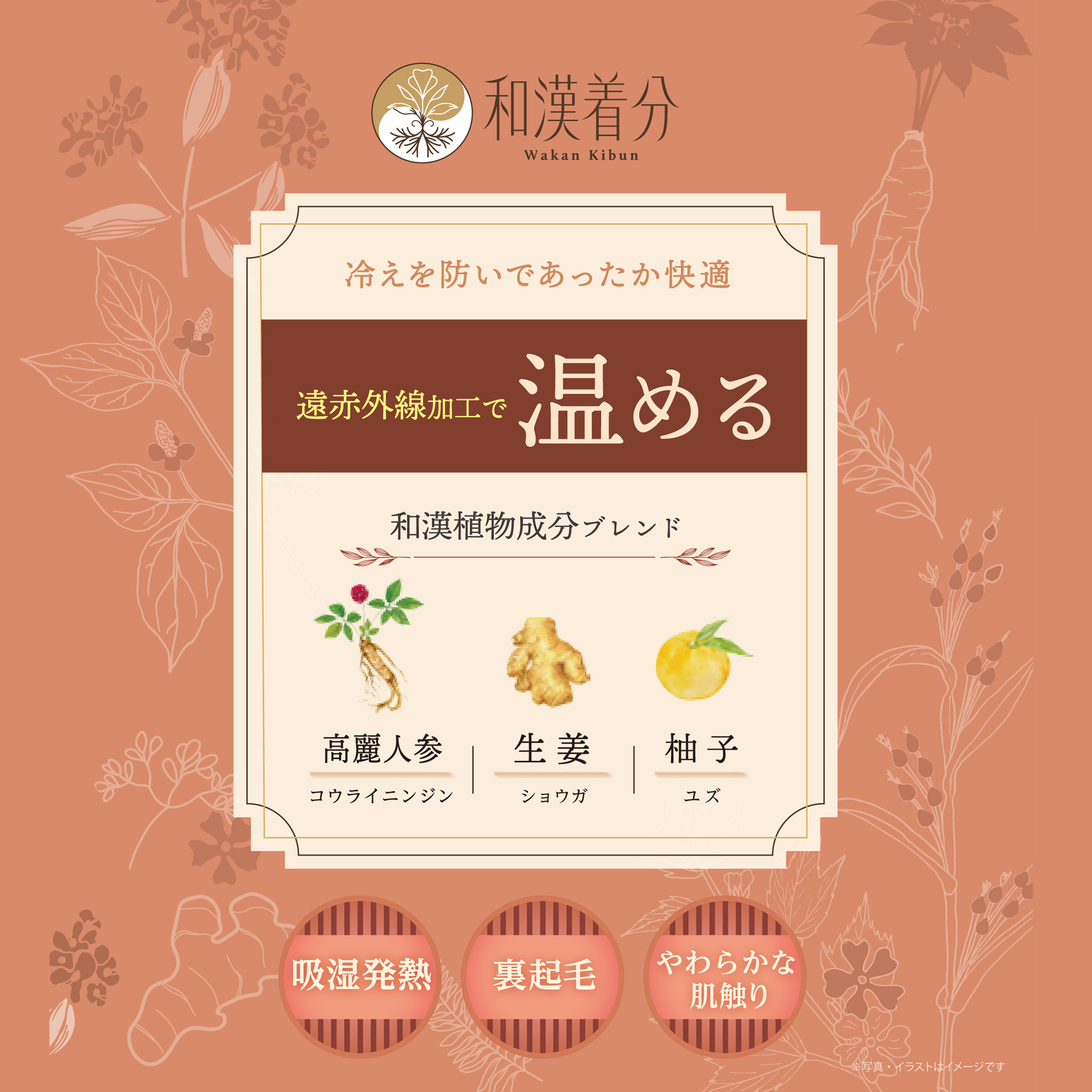 和漢着分