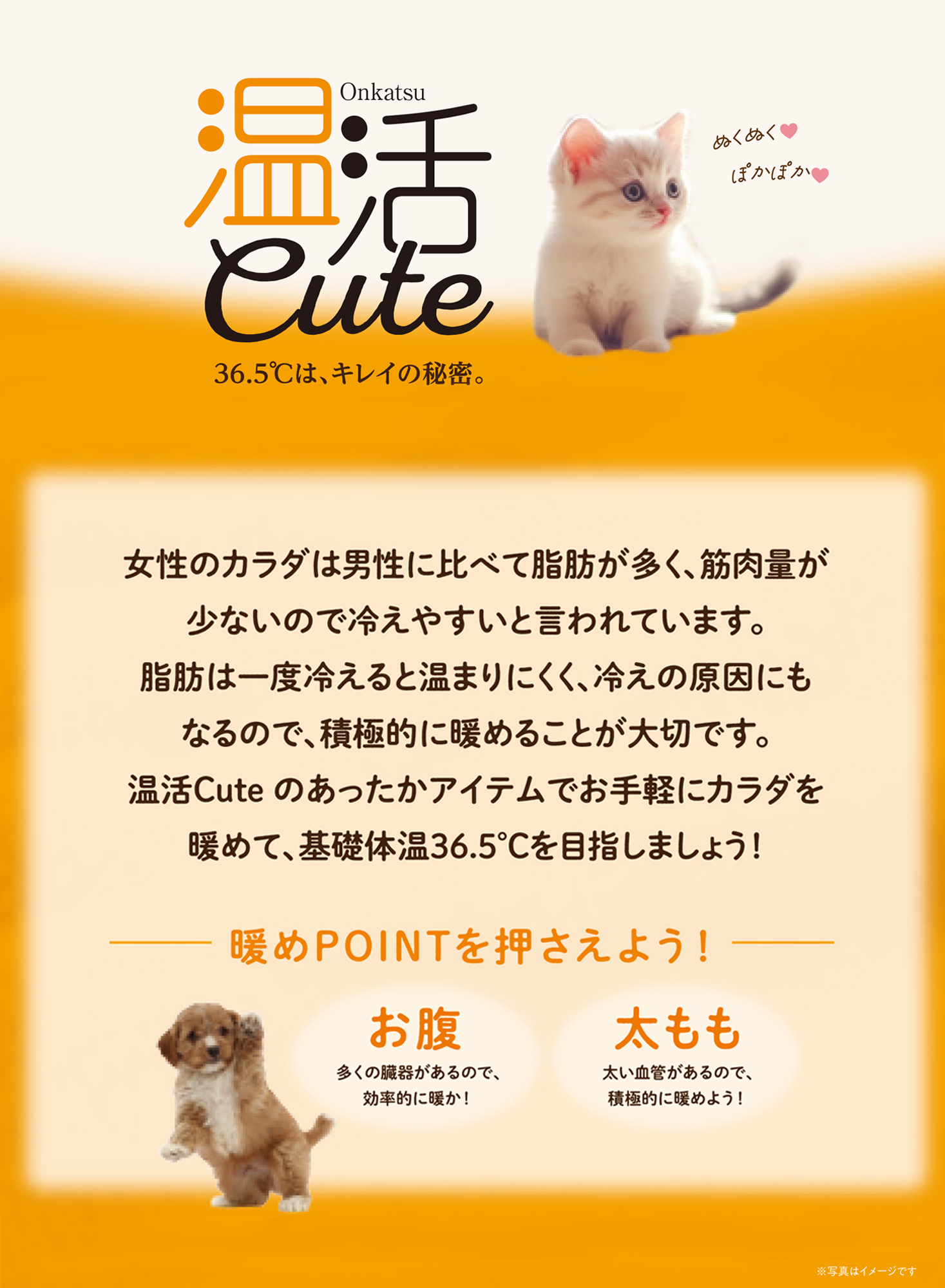 温活cute