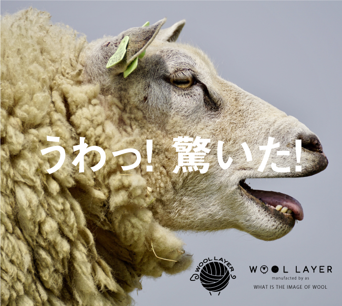 こんなウール100％、初めて。WOOLLAYER