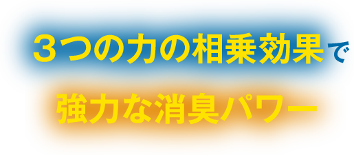 特許消臭 Deolight Ag（デオライト）で