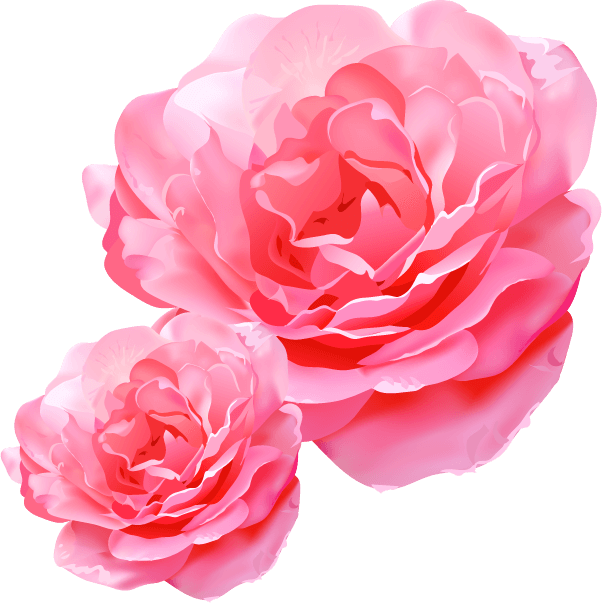 deco4