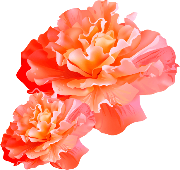 deco4