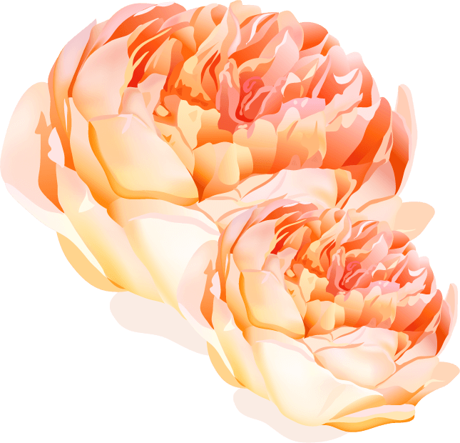 deco3