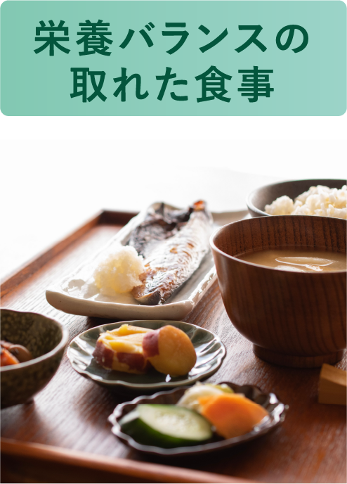 栄養バランスの取れた食事