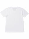 海島綿 V-135 １００％ VネックTシャツ