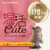 温活cute 背当て付レース付8分袖インナー