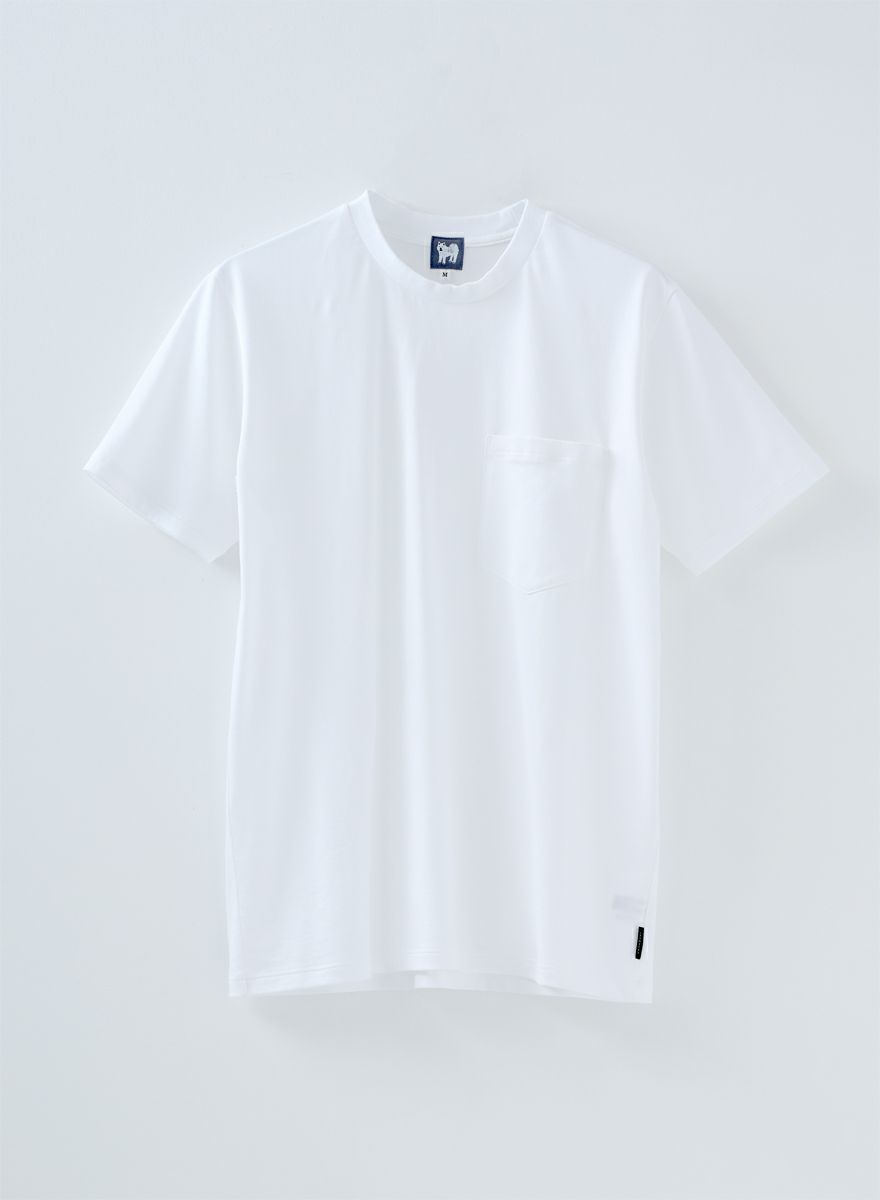 シーアイランドコットン半袖Tシャツ