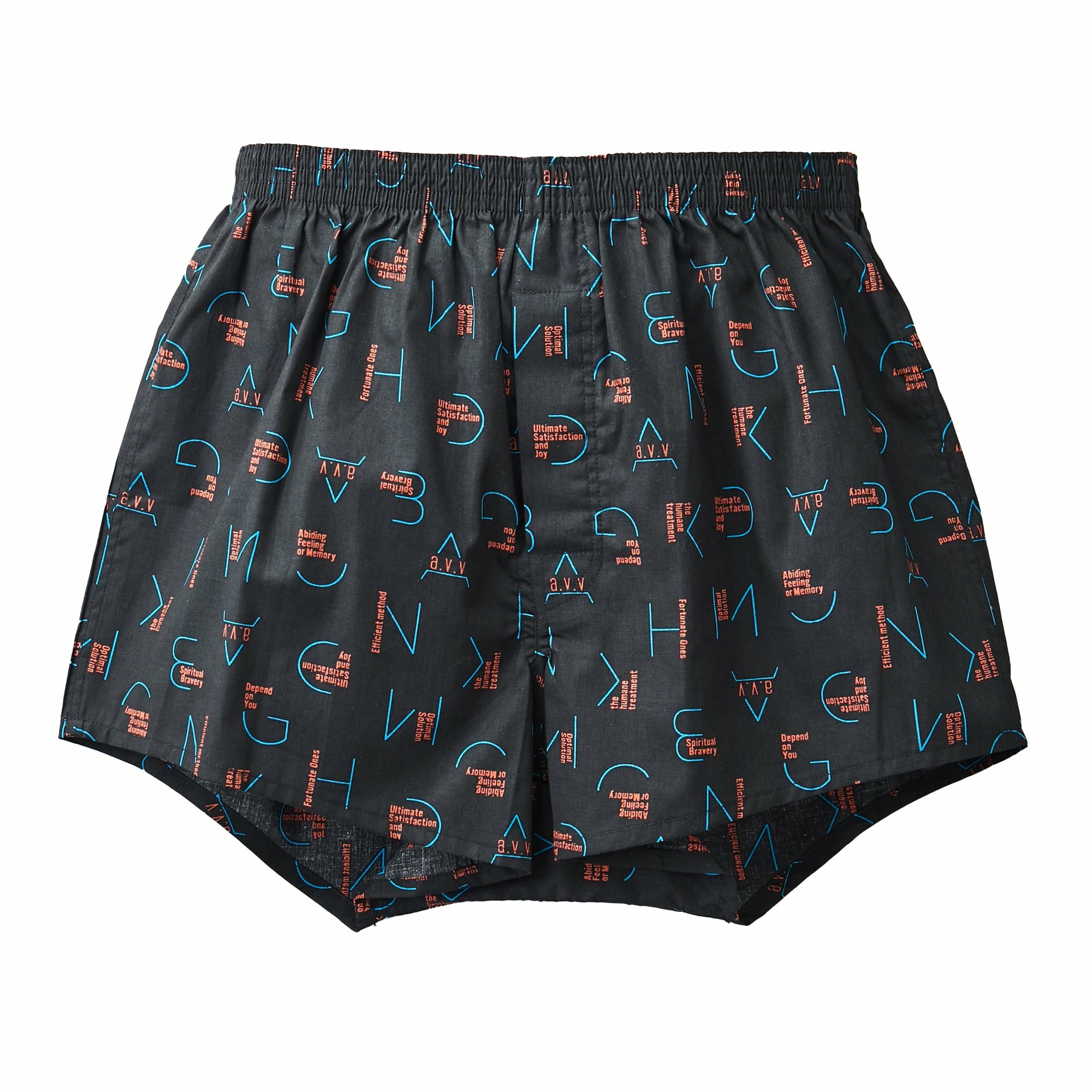 a.v.v 2枚組 前開きプリントトランクス M・L・LL |インナー・肌着