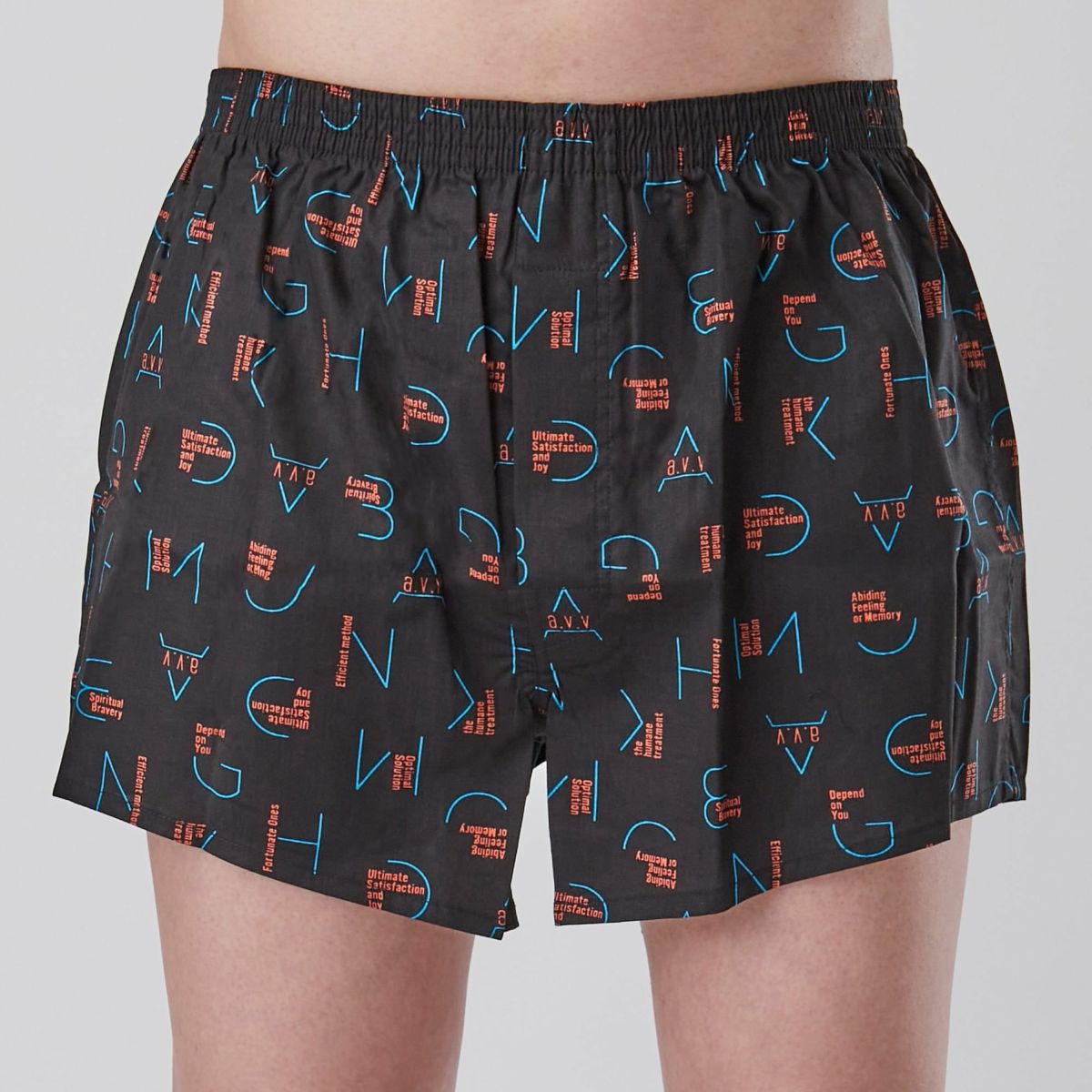 a.v.v ２枚組 前開きプリントトランクス