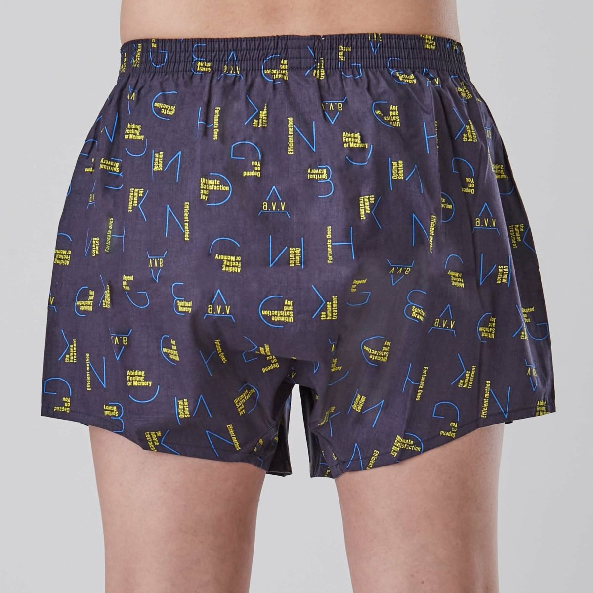 a.v.v ２枚組 前開きプリントトランクス