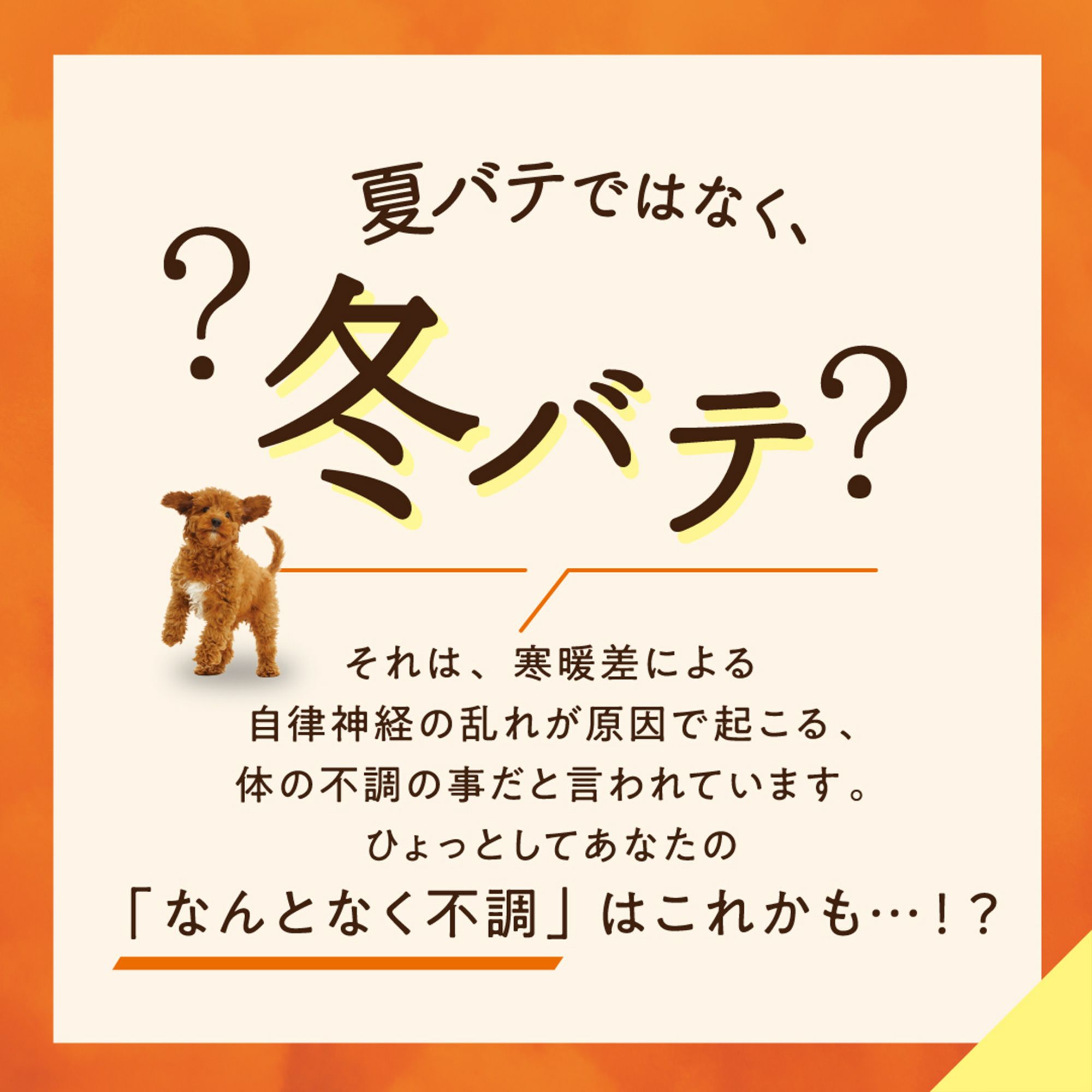 温活cute お腹あて布付き 2分丈ボトム